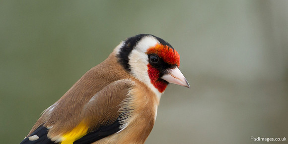 A92X4660