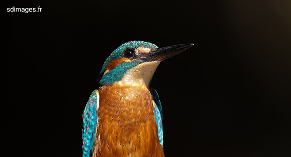 DSC_5042