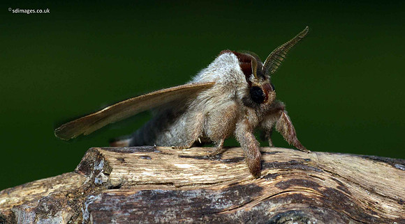 A92X4728