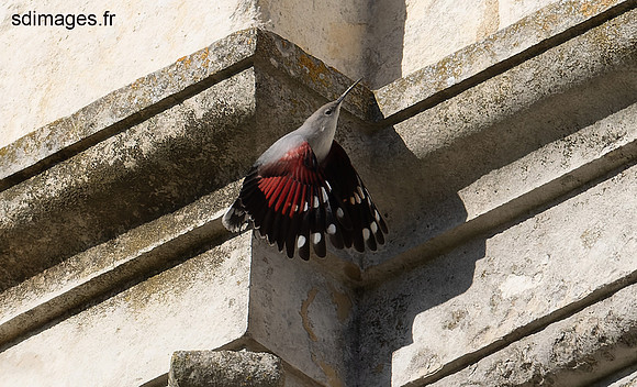 PB054001-ORF_DxO_DeepPRIME