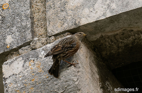 PB267698-ORF_DxO_DeepPRIME