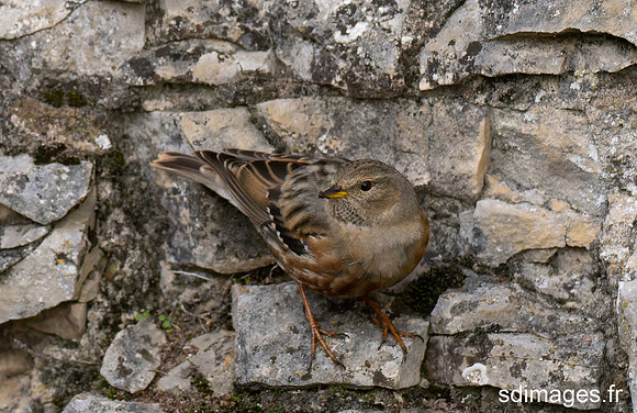 PB279764-ORF_DxO_DeepPRIME