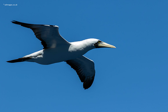 0Y2A0786_1