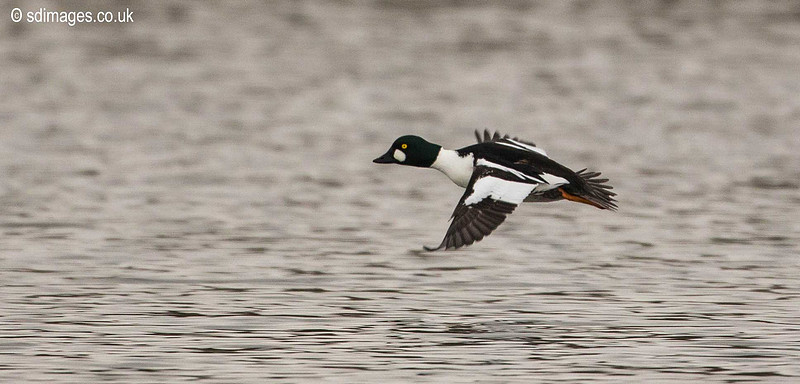 0Y2A7744