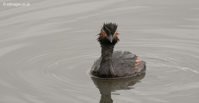 0Y2A1384