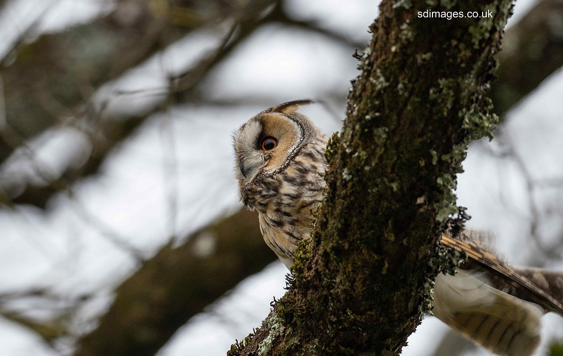 P3060114