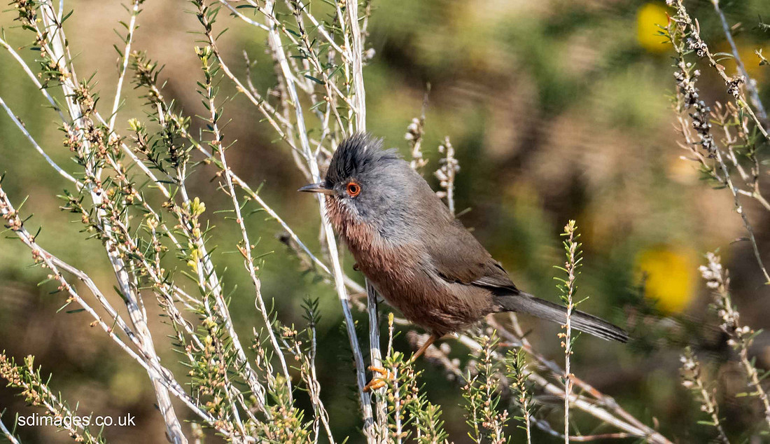 P3090245