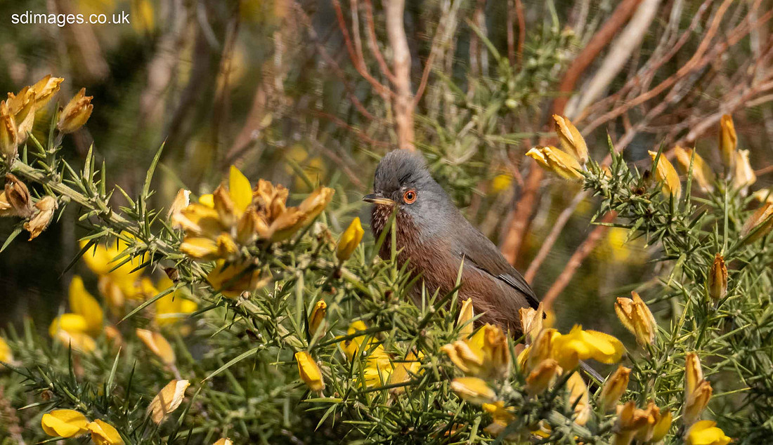 P3090275