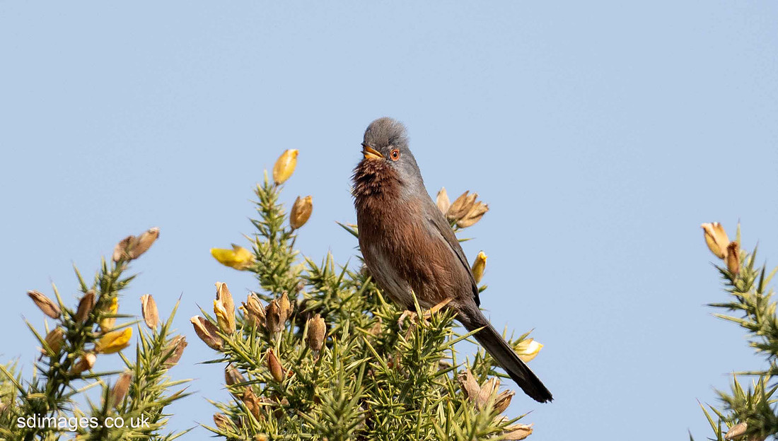 P3090419