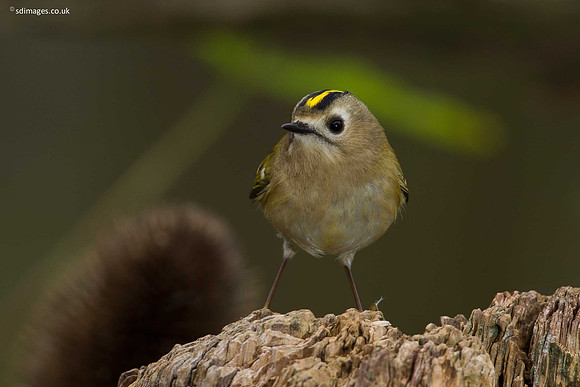 A92X0477
