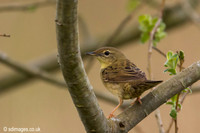20170423-0Y2A1897