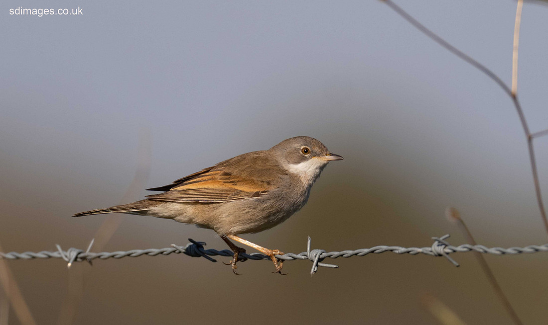 P4190690