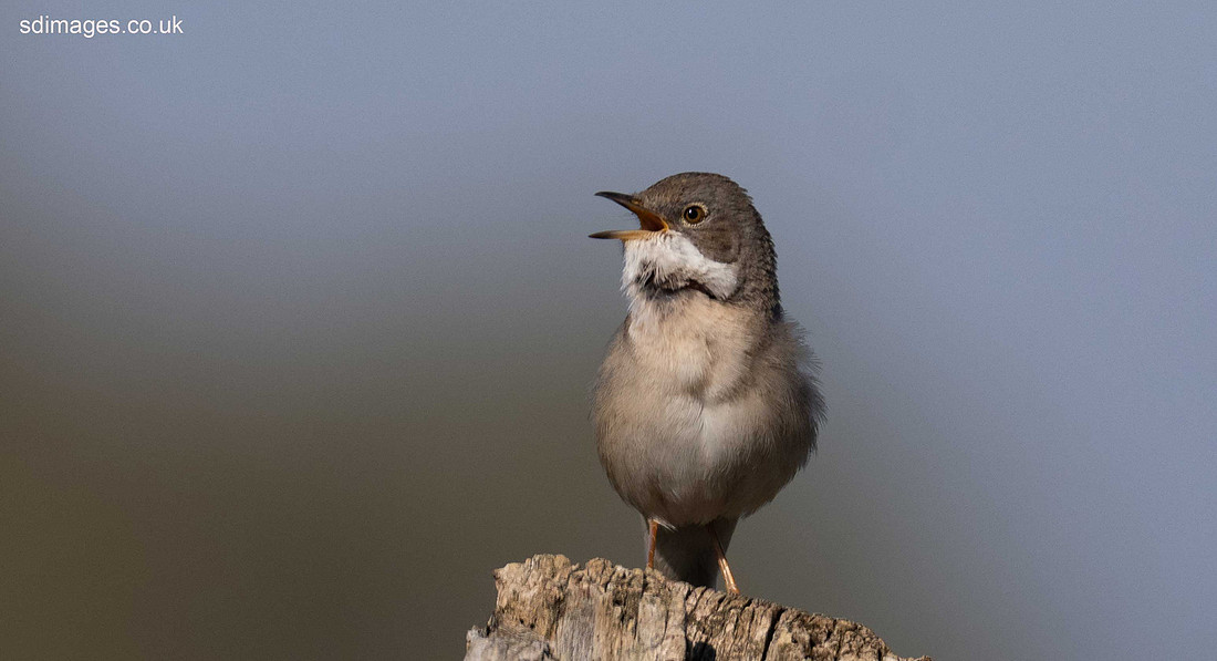 P4190769