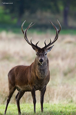 A92X3258