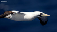 PC183659