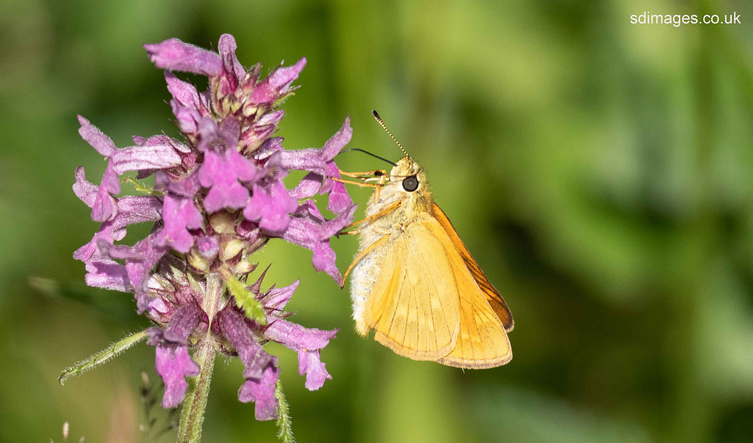 P7200014