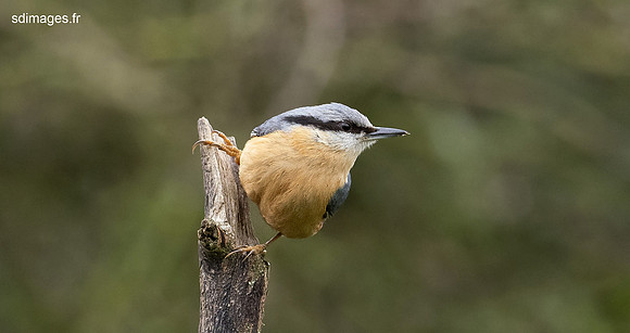 P3088863