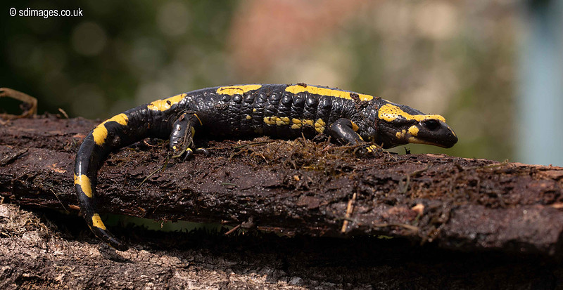 620A0718
