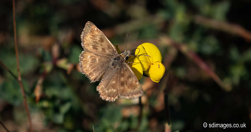 620A8527