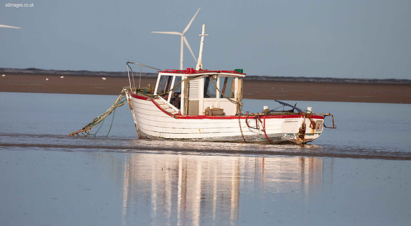 620A4969