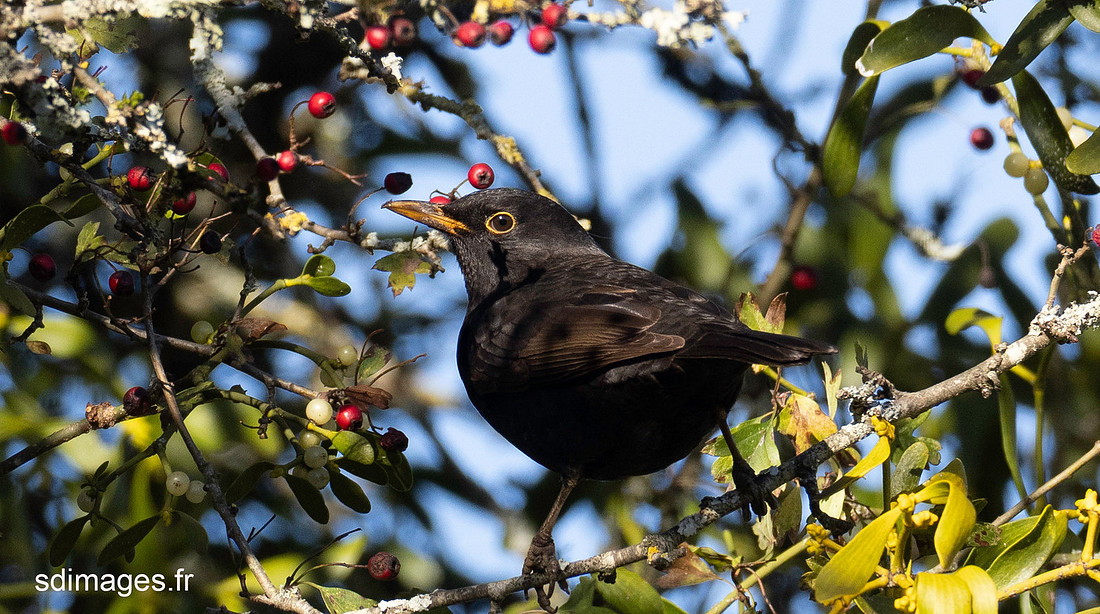 PB250206