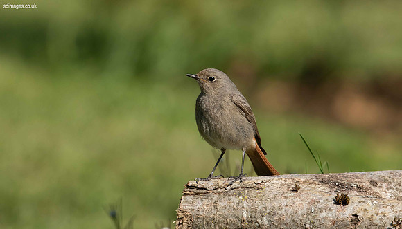 0Y2A9734