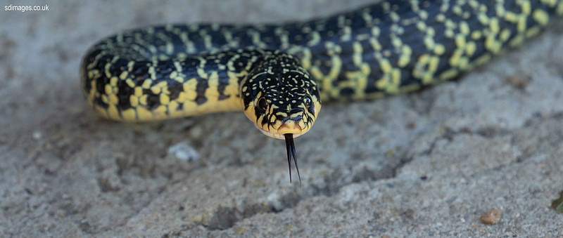620A0327