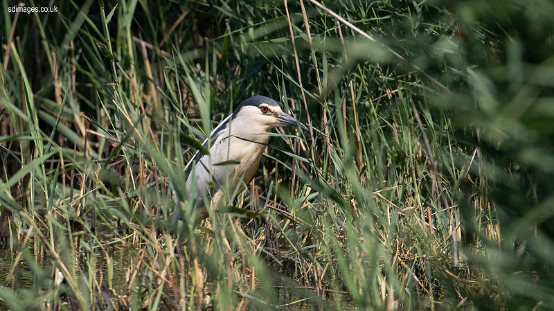 0Y2A8006