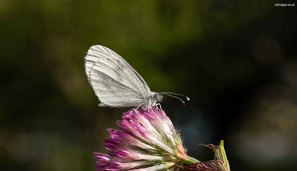 620A9764