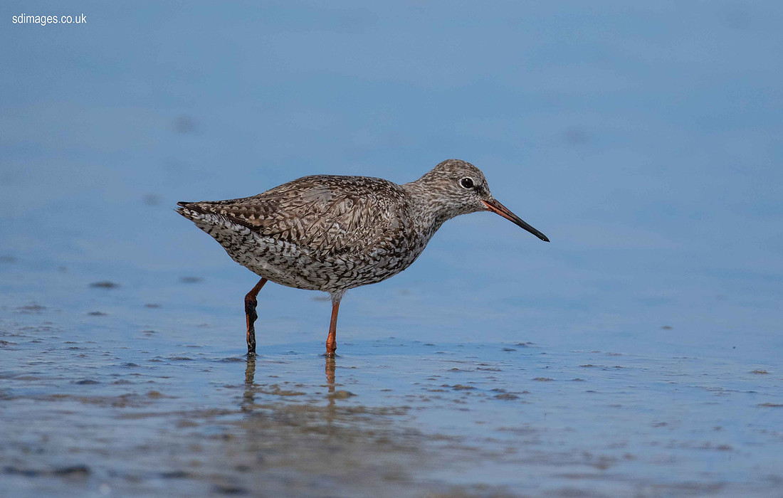 0Y2A7373