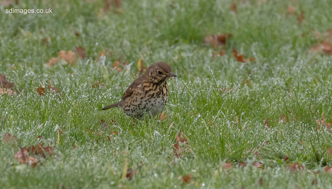 P1040615
