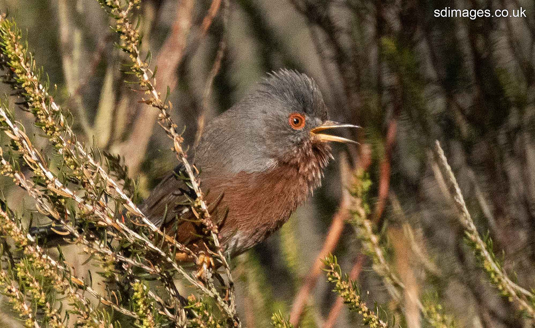 214A7643