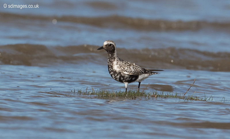20161017-0Y2A0822
